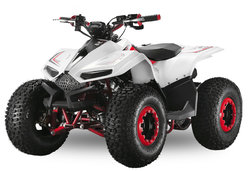 Velocifero Mini ATV | E-start | 110cc